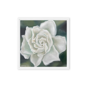 She Wore White – White Rose Floral Wall Art / Framed Canvas